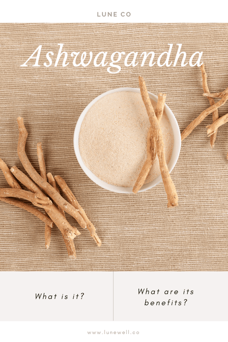 What Is Ashwagandha And Why Do People Take It?