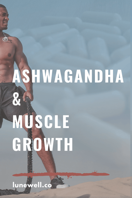 Ashwagandha and Muscle Growth